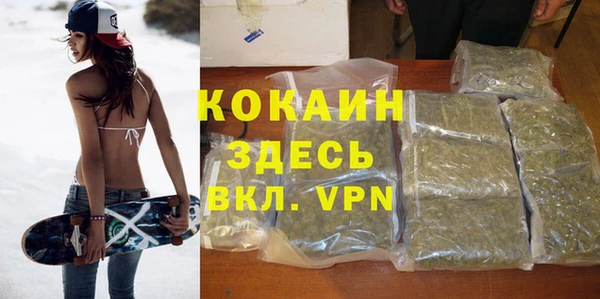 дживик Липки