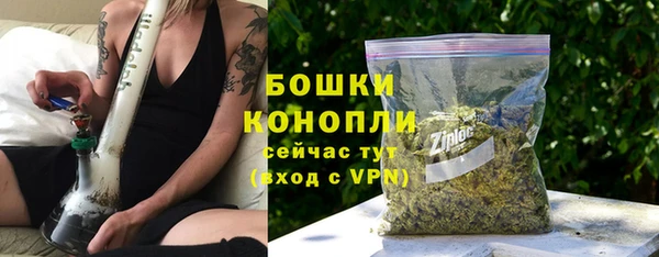 дживик Липки